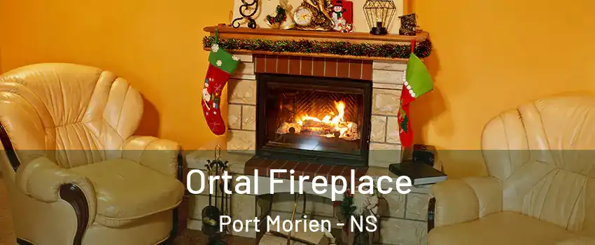 Ortal Fireplace Port Morien - NS