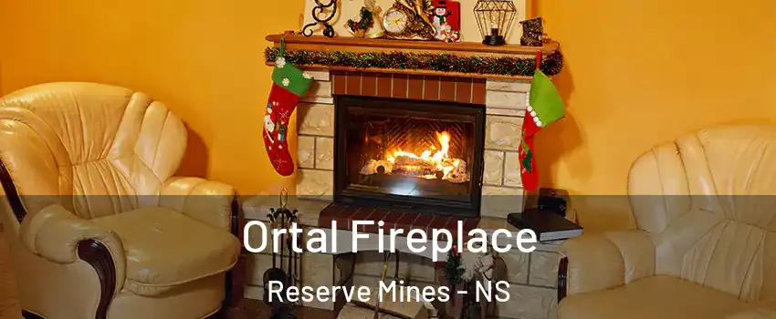 Ortal Fireplace Reserve Mines - NS
