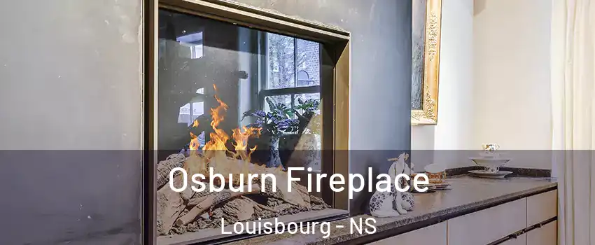  Osburn Fireplace Louisbourg - NS