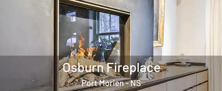  Osburn Fireplace Port Morien - NS