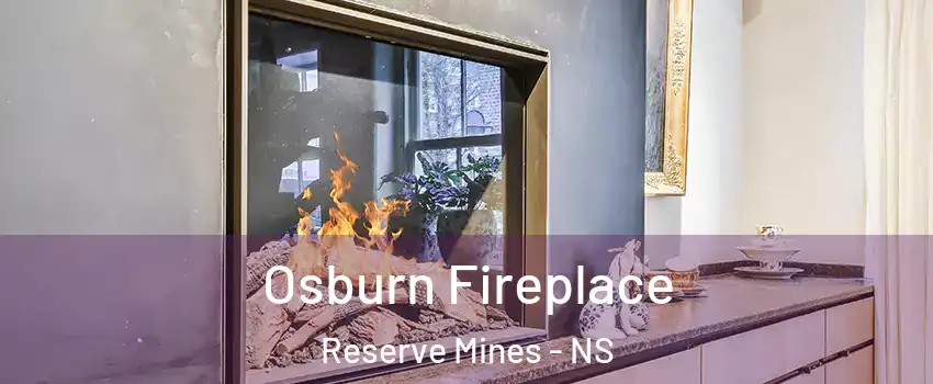  Osburn Fireplace Reserve Mines - NS