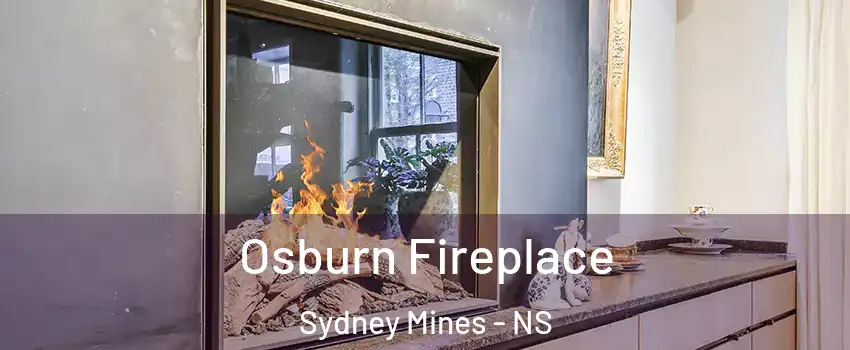  Osburn Fireplace Sydney Mines - NS