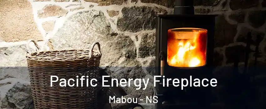  Pacific Energy Fireplace Mabou - NS