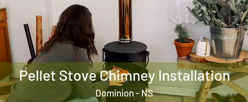  Pellet Stove Chimney Installation Dominion - NS