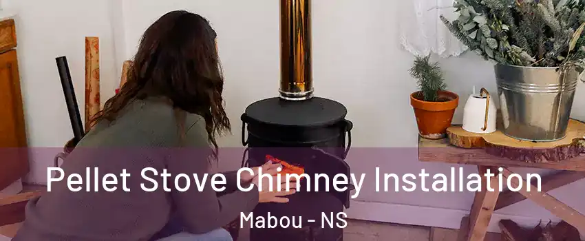  Pellet Stove Chimney Installation Mabou - NS