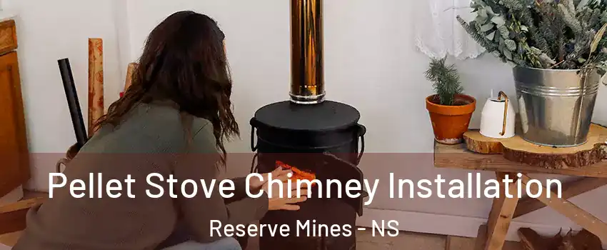  Pellet Stove Chimney Installation Reserve Mines - NS