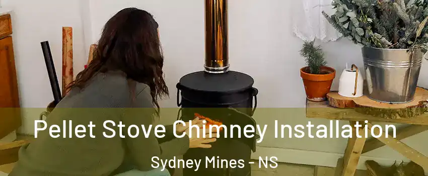  Pellet Stove Chimney Installation Sydney Mines - NS