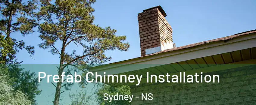  Prefab Chimney Installation Sydney - NS