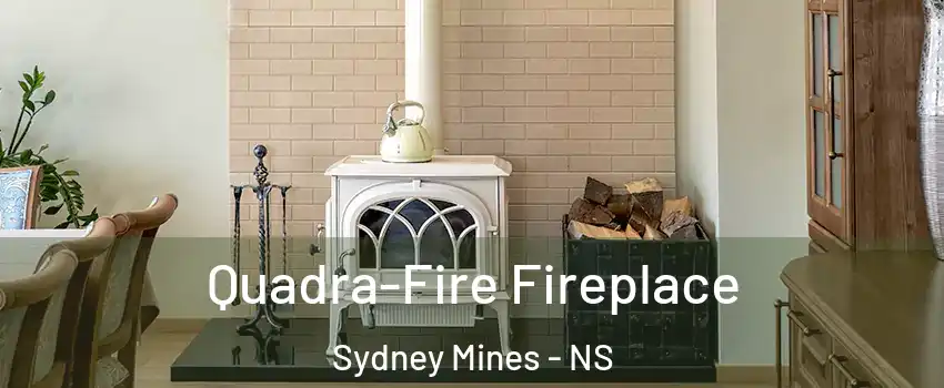  Quadra-Fire Fireplace Sydney Mines - NS