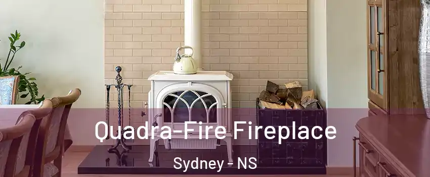  Quadra-Fire Fireplace Sydney - NS