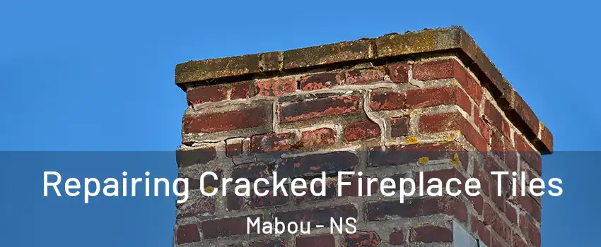  Repairing Cracked Fireplace Tiles Mabou - NS