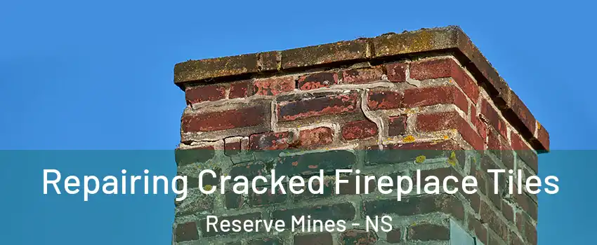  Repairing Cracked Fireplace Tiles Reserve Mines - NS