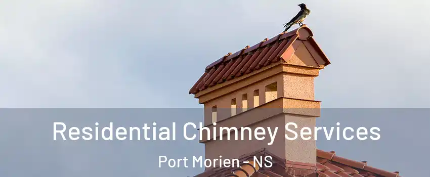  Residential Chimney Services Port Morien - NS