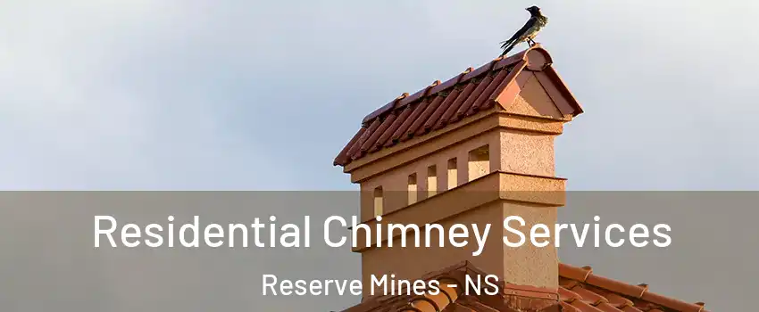  Residential Chimney Services Reserve Mines - NS