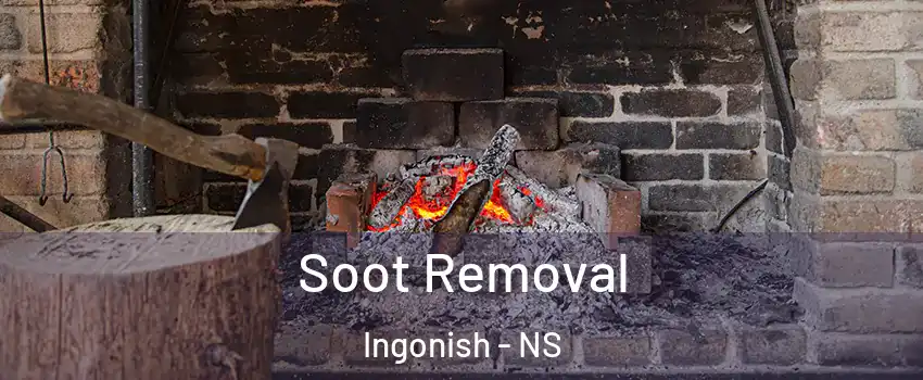  Soot Removal Ingonish - NS