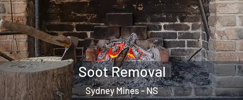  Soot Removal Sydney Mines - NS