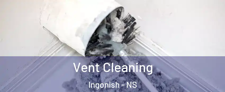  Vent Cleaning Ingonish - NS