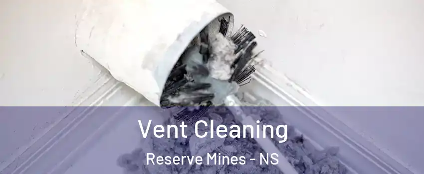  Vent Cleaning Reserve Mines - NS