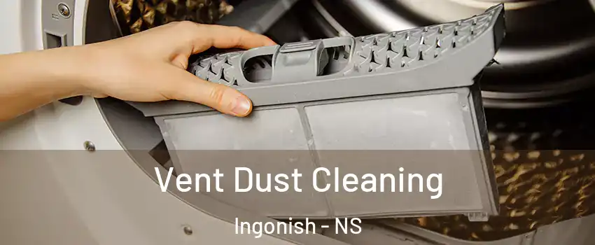  Vent Dust Cleaning Ingonish - NS
