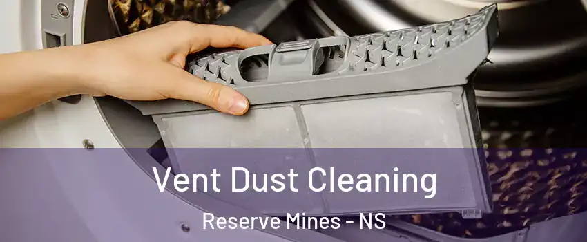  Vent Dust Cleaning Reserve Mines - NS