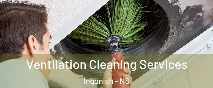  Ventilation Cleaning Services Ingonish - NS