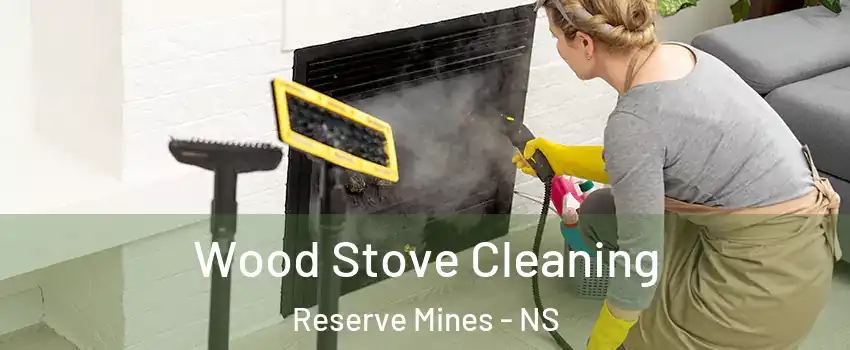  Wood Stove Cleaning Reserve Mines - NS