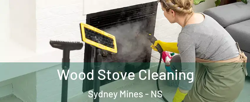  Wood Stove Cleaning Sydney Mines - NS
